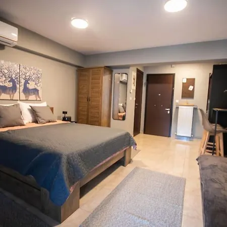 12nisou Studio With Balcony * סלוניקי