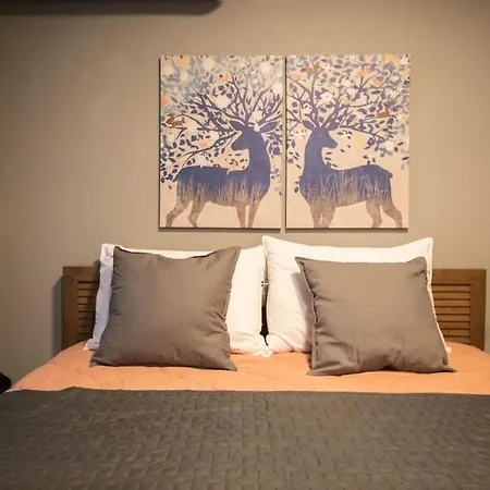 12nisou Studio With Balcony * سالونيك